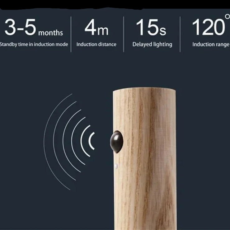 Intelligent LED Rechargeable Wall Light